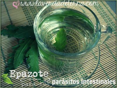 Epazote para los parásitos intestinales